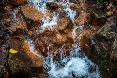 Ormandaki eski su değirmenindeki Ieriku doğa parkının şelaleleri. Letonya 'daki Gauja Ulusal Parkı' nın bir parçası..