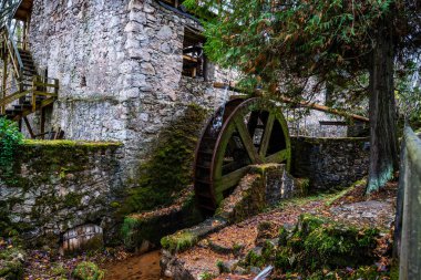 Ormandaki eski su değirmenindeki Ieriku doğa parkının şelaleleri. Letonya 'daki Gauja Ulusal Parkı' nın bir parçası..