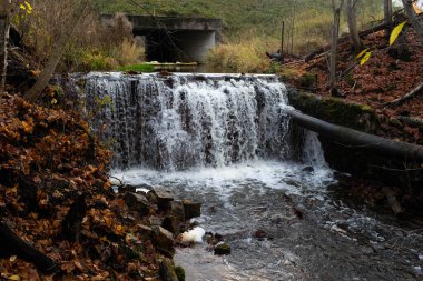 Ormandaki eski su değirmenindeki Ieriku doğa parkının şelaleleri. Letonya 'daki Gauja Ulusal Parkı' nın bir parçası..