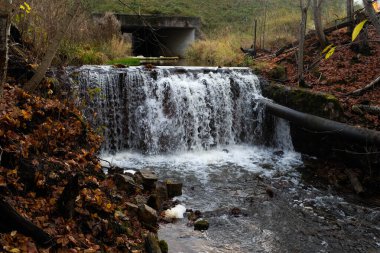 Ormandaki eski su değirmenindeki Ieriku doğa parkının şelaleleri. Letonya 'daki Gauja Ulusal Parkı' nın bir parçası..