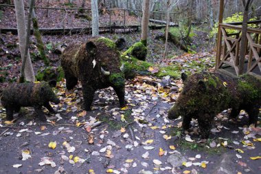 Ormandaki eski su değirmenindeki Ieriku doğa parkının şelaleleri. Letonya 'daki Gauja Ulusal Parkı' nın bir parçası..