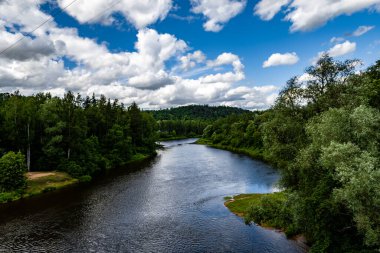 Temmuz ayında Sigulda, Letonya 'da yaz mevsiminde ormanla çevrili Gauja Nehri manzarası
