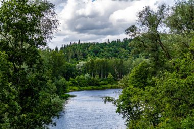 Temmuz ayında Sigulda, Letonya 'da yaz mevsiminde ormanla çevrili Gauja Nehri manzarası
