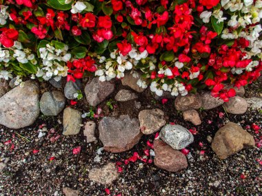 Sigulda, Letonya - 11 Temmuz 2020: Letonya gezisi. Cane Park, Sigulda şehrinde popüler bir turistik merkezdir.