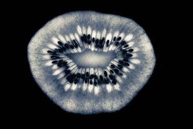 Makro Kivi Meyve Merkezi