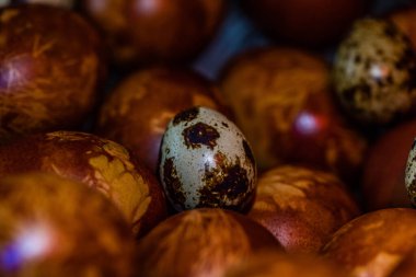 Süslü Paskalya Yumurtaları Taze Yapraklar ve Soğan Kabukları