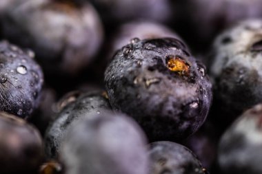 Taze yabanmersini arka planı. Doku yaban mersini yakından geliyor. Yaban mersini serpin. Olgun yabanmersini ve metin için fotokopi alanı. Taze yabanmersinleri saçılmış. Bir demet yabanmersini..