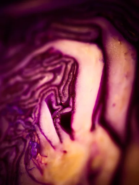 Red cabbage close-up. The texture of the cut cabbage.