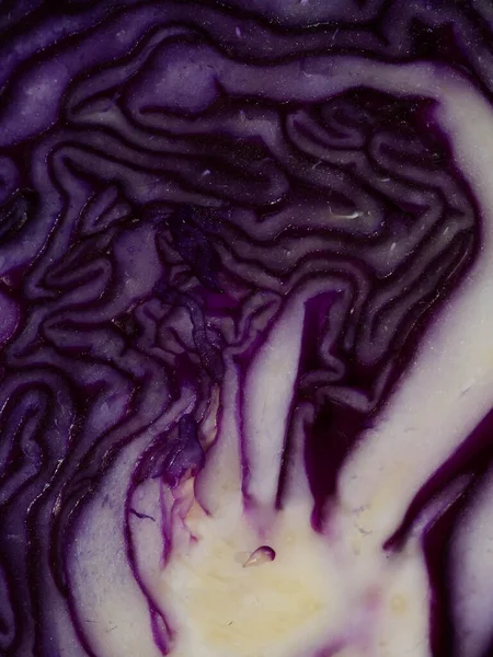 Red cabbage close-up. The texture of the cut cabbage.