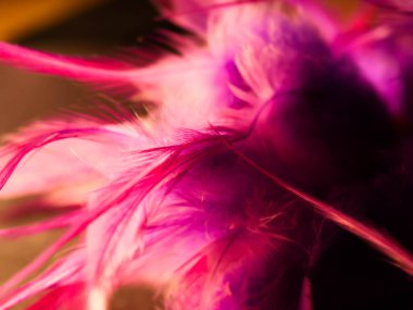 Tüylerin karışımı. Arkaplan için kuş ve tavuklar tüy dokusu soyut, bulanık stil ve sanat tasarımının yumuşak rengi.