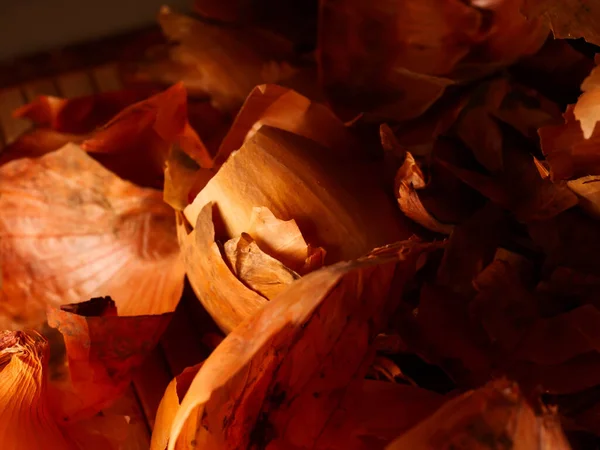 The use of onion skins in medicine and for coloring Easter eggs. Onion skin and onion on a wooden background.