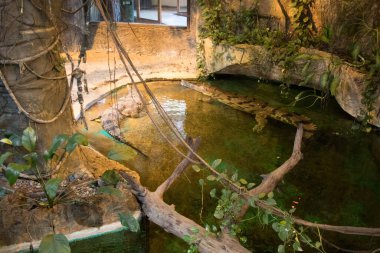 RIGA, LATVIA - 17 Mayıs 2018: Riga Ulusal Zooloji Bahçesi, Zoo Mezaparks Riga Letonya Avrupa, kuşlar, hayvanlar ve doğa