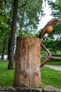 RIGA, LATVIA - 17 Mayıs 2018: Riga Ulusal Zooloji Bahçesi, Zoo Mezaparks Riga Letonya Avrupa, kuşlar, hayvanlar ve doğa