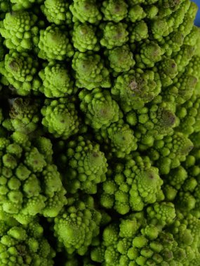 Romanesco brokoli lahanası (veya Roma Karnabaharı))