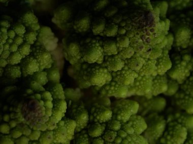 Romanesco brokoli lahanası (veya Roma Karnabaharı))