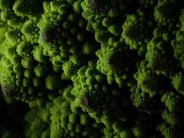 Romanesco brokoli lahanası (veya Roma Karnabaharı))