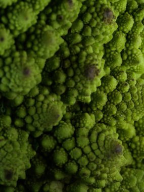 Romanesco brokoli lahanası (veya Roma Karnabaharı))