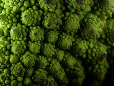 Romanesco brokoli lahanası (veya Roma Karnabaharı))