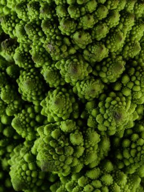 Romanesco brokoli lahanası (veya Roma Karnabaharı))