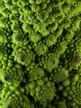 Romanesco brokoli lahanası (veya Roma Karnabaharı))