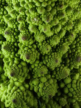 Romanesco brokoli lahanası (veya Roma Karnabaharı))
