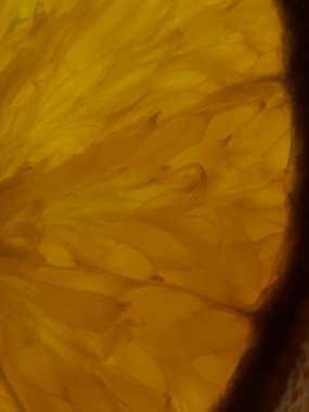 Sabah taze çiğ taneleri kahvaltıda yemek için portakal dilimlerini kaplıyor.