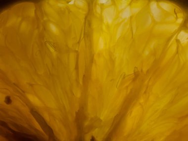 Sabah taze çiğ taneleri kahvaltıda yemek için portakal dilimlerini kaplıyor.