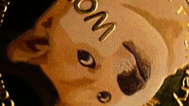 ドージコイン仮想通貨記念ゴールデン一番ホットなDogeコインアートコレクション — ストック動画