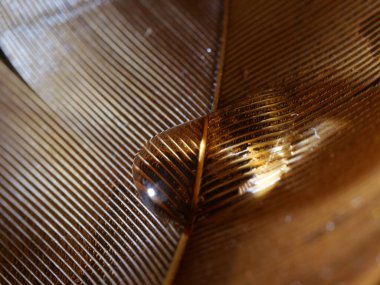 Soyut Makro Fotoğraf Damlacıkları, Cam ve Metal