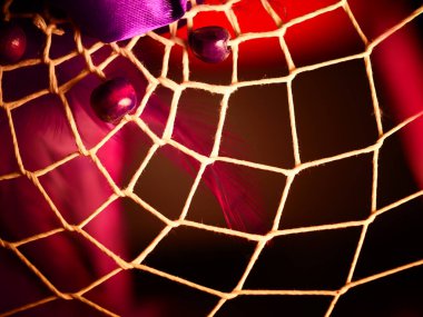 Doğal geçmişi olan Rüya Kapanı 'na odaklanın. Amerikan Yerlisi Rüya Yakalayıcısı.