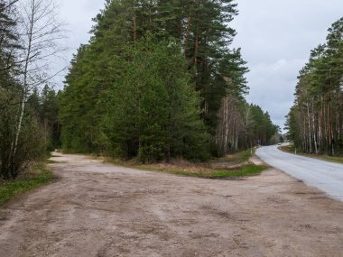 Etrafta traktör tekerlek izleri ve yeşil doğa olan boş orman yolu. Orman ve doğa.