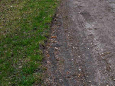 Orman Yolu 'nun manzarası, Bahar akşamının erken saatlerinde ormanın derinliklerinde, üzerinde lastik izleri olan, seçici bir odak noktası.