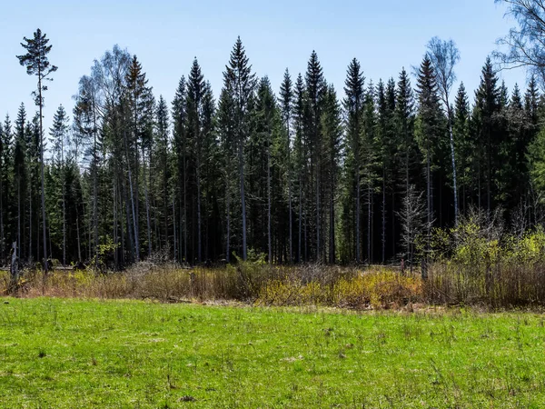 Paisagem Rural Com Prado Verde Céu Azul Acima Campo Simples — Fotografia de Stock