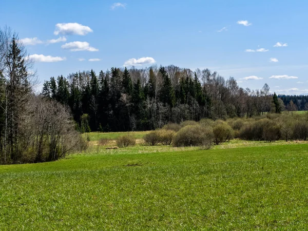 Krajobraz Wiejski Zieloną Łąką Błękitnym Niebem Powyżej Prosty Krajobraz Zdjęcie — Zdjęcie stockowe