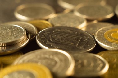 Dünyanın her yerinden bir sürü bozuk para. Eski paralar, eski paralar.