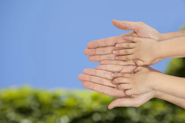 Padre e hijo tomados de la mano sobre fondo natural . —  Fotos de Stock