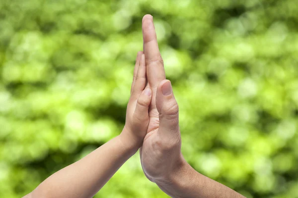 Baba ve oğul yeşil arka plan bulanık üzerinde yüksek beş jest olarak