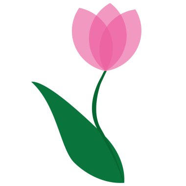 İzole lale çiçeği simgesi düz tasarım vektör resmi