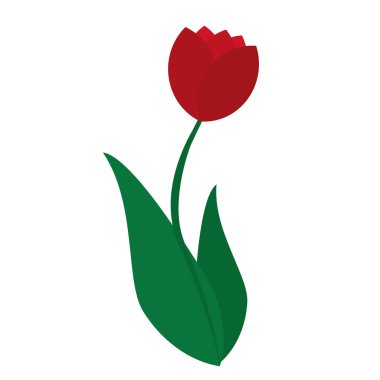 İzole lale çiçeği simgesi düz tasarım vektör resmi