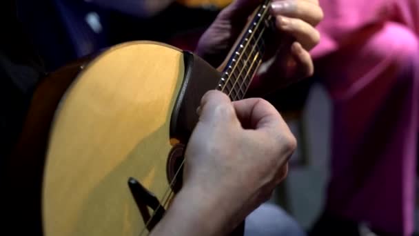 Une fille d'un orchestre de théâtre joue de la balalaika lors d'une répétition — Video