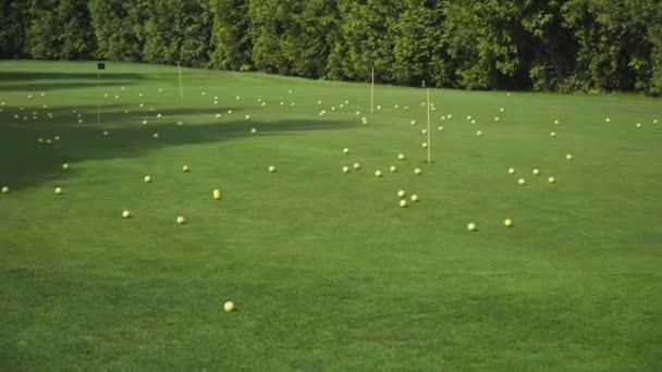 Um monte de bolas de golfe amarelas — Vídeo de Stock