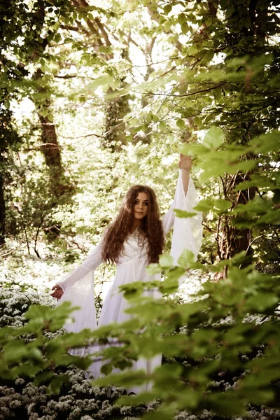 Belle femme en robe blanche longue debout dans une forêt regardant à travers les branches d'un hêtre — Photo