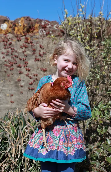 Menina bonita segurando uma galinha marrom — Fotografia de Stock