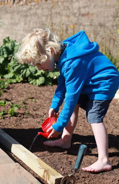 Blonde haired boy watering seeds — Stock Photo, Image