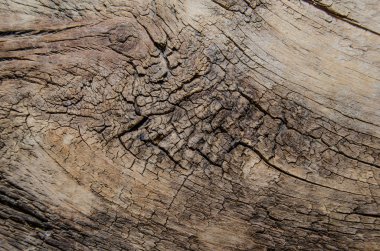 Eski ahşabın dokusu