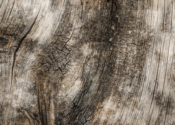 Textuur van oud hout — Stockfoto