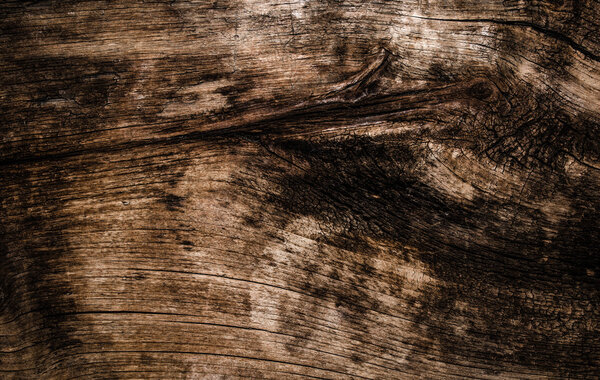 текстура из старого дерева