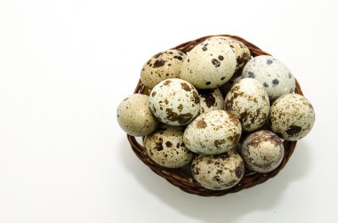 Benekli bıldırcın yumurtası