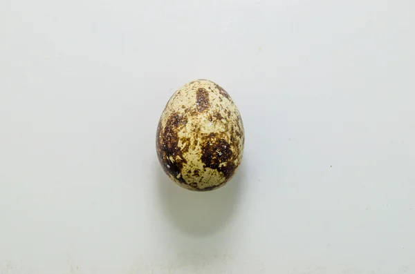 Spotted quail eggs — Stock Photo, Image