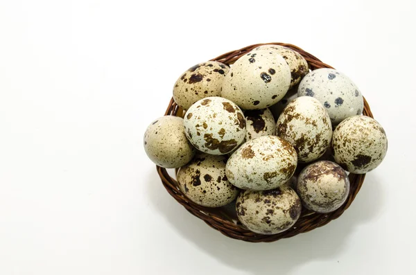 Benekli bıldırcın yumurtası